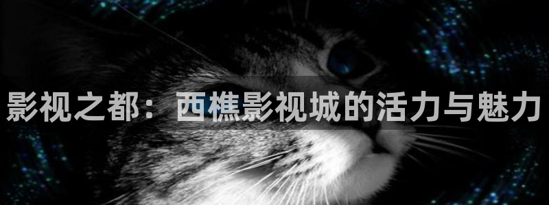 7777影院免费观看